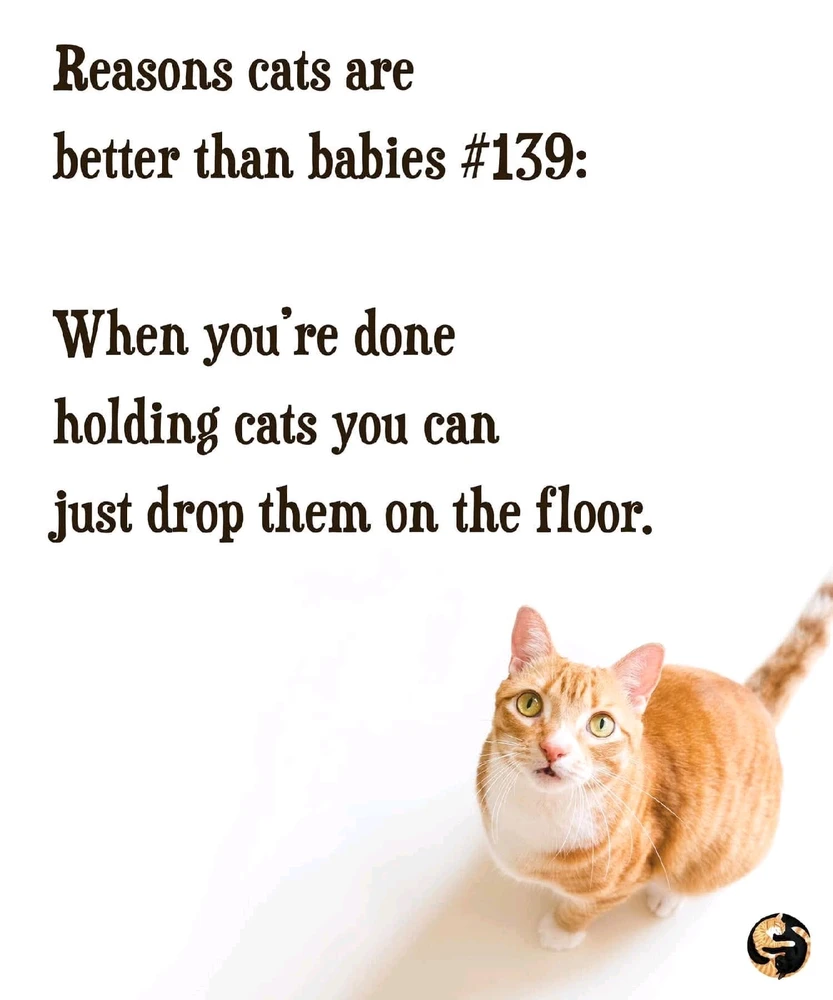 GIF uploaded by Clare-Bear