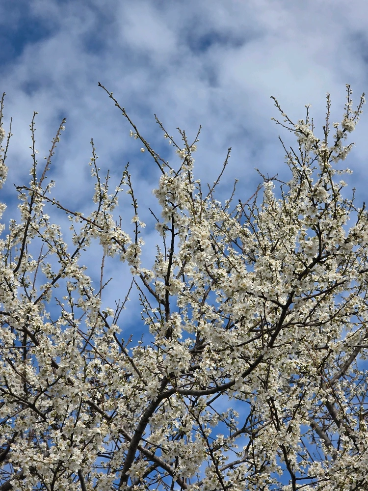 GIF загрузил Dachi