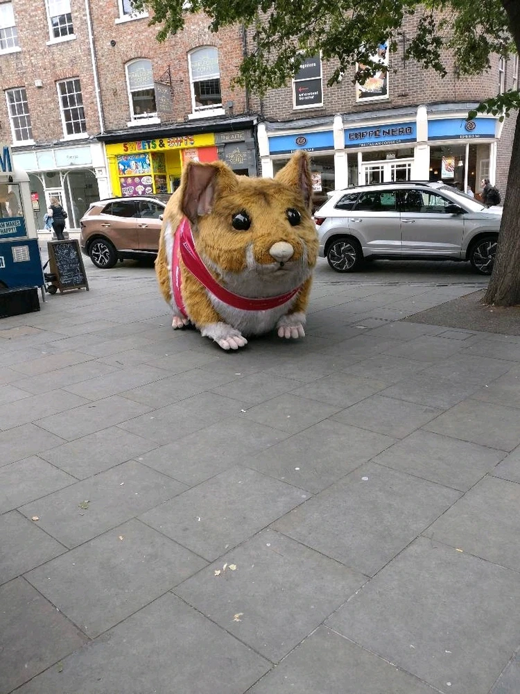 GIF uploaded by Ryan