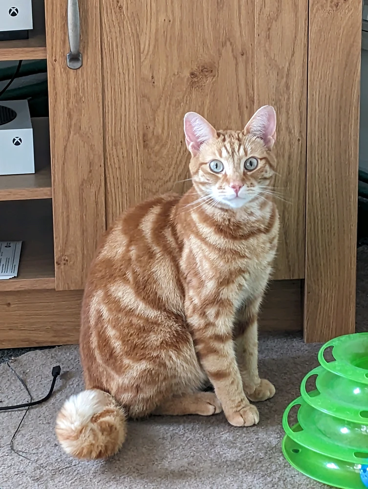 GIF uploaded by Dave