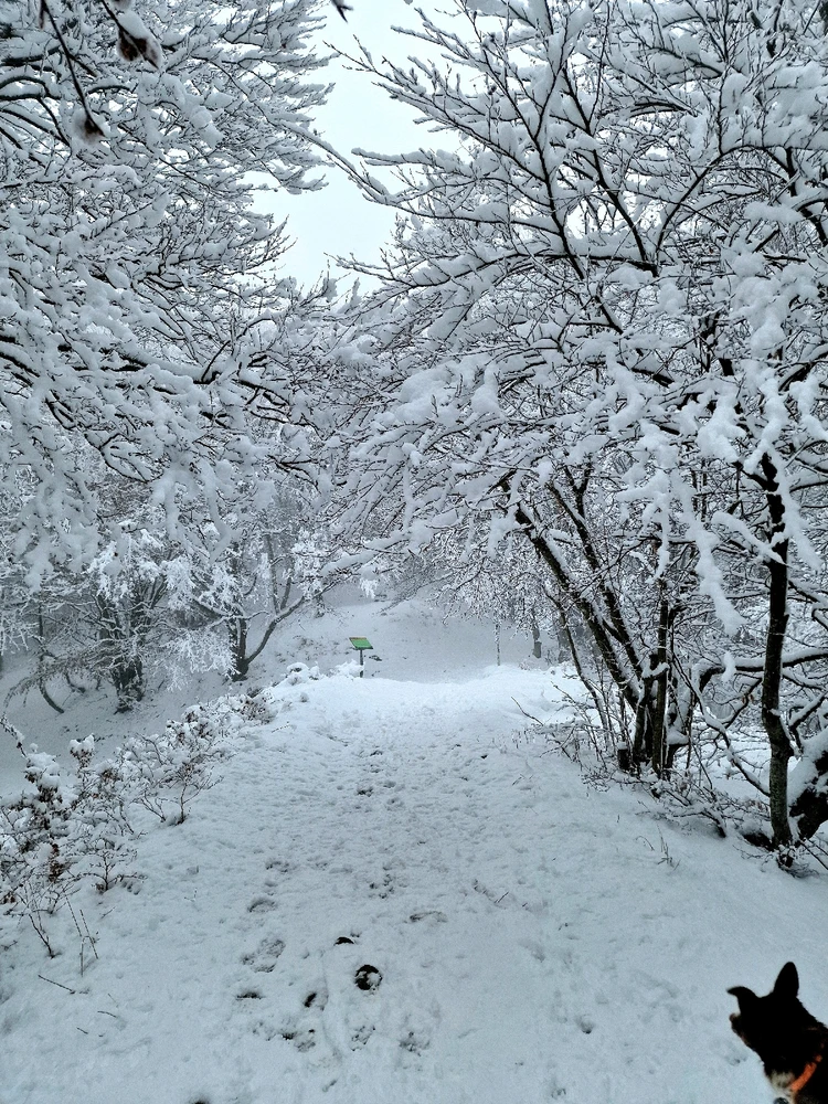 GIF caricata da Martin