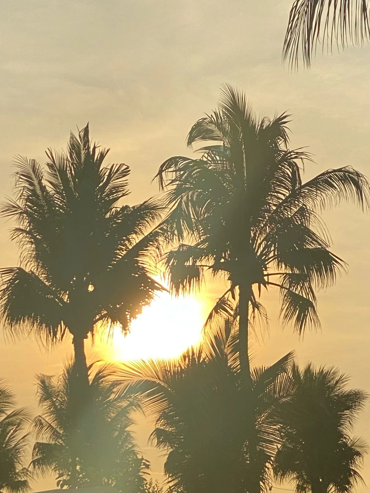 GIF uploaded by Gelli