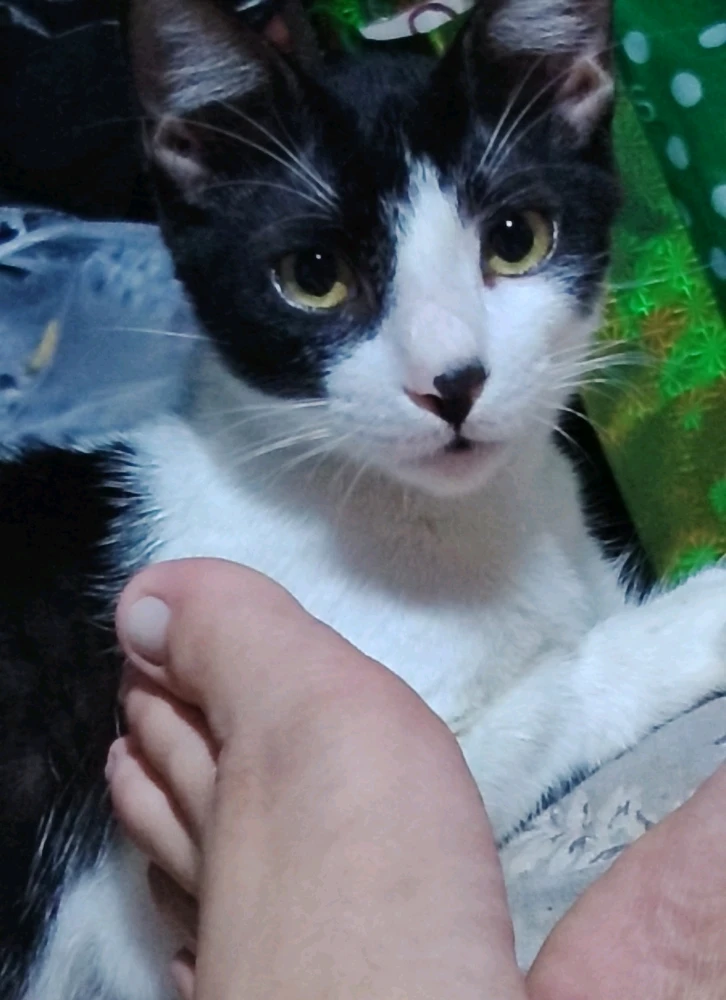 GIF uploaded by Arlene