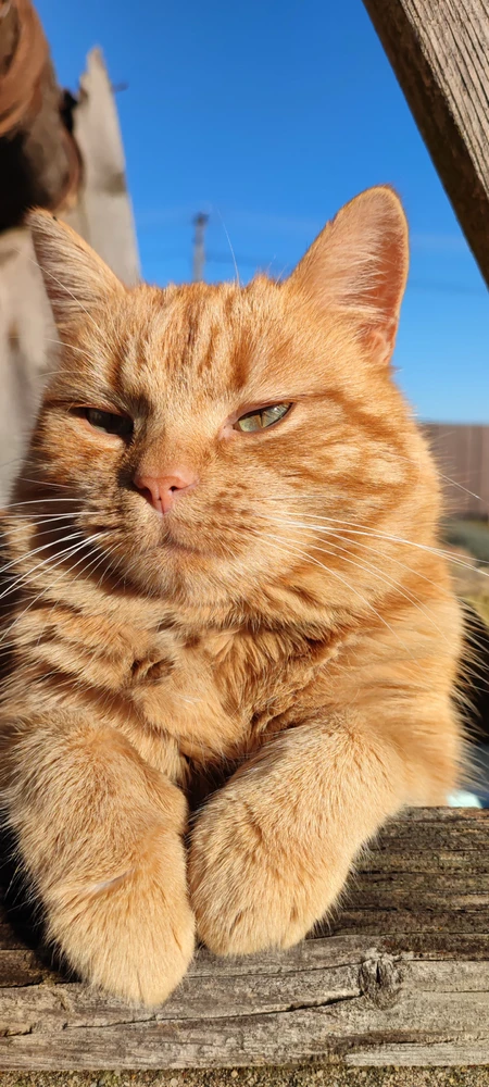 GIF uploaded by Tamás