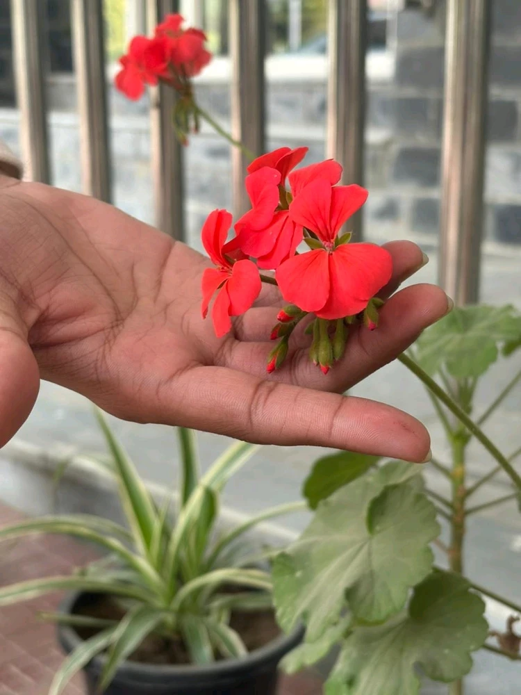 Gambar diunggah dening Arjun  Gupta