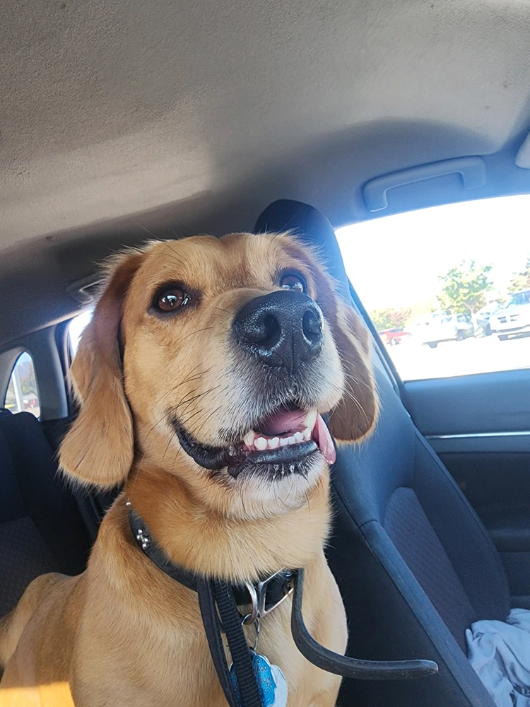 GIF uploaded by Scott