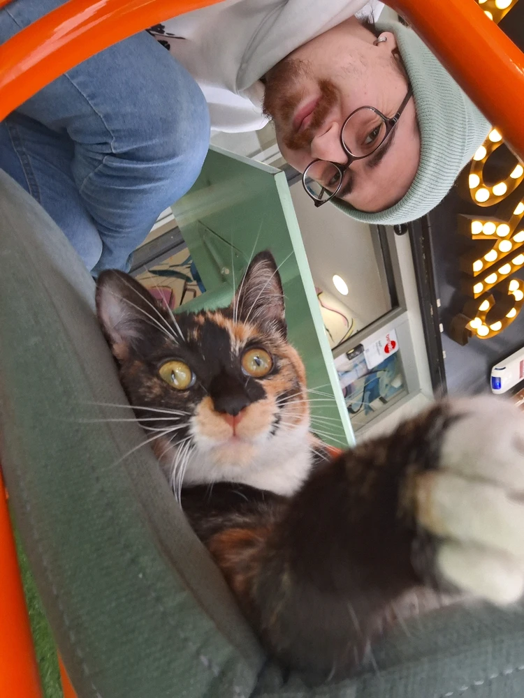 Image uploaded by alp