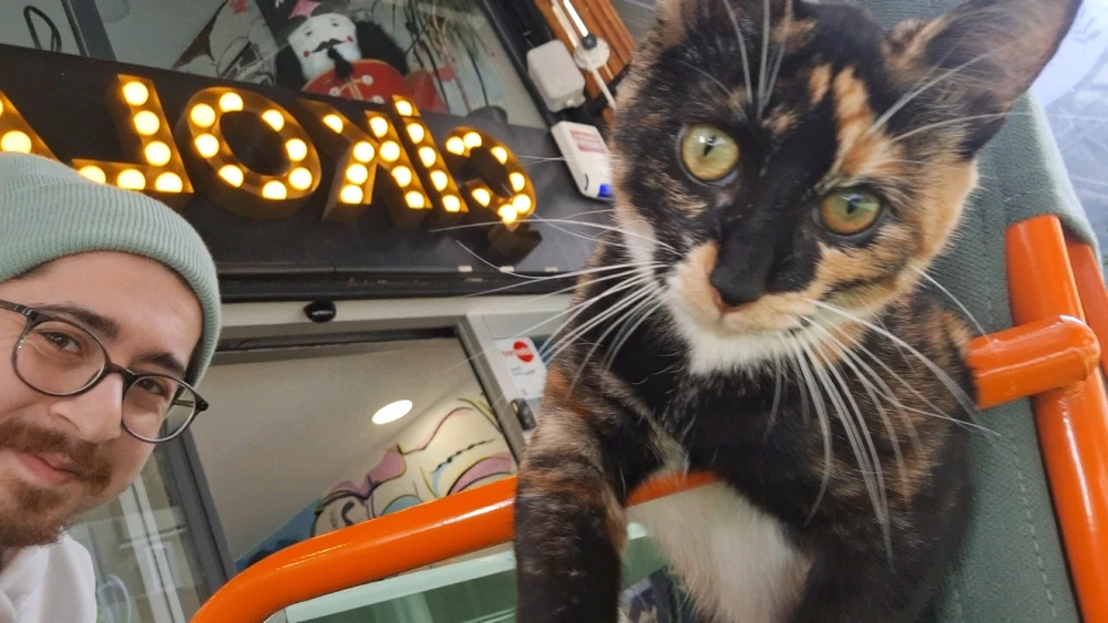 Image uploaded by alp