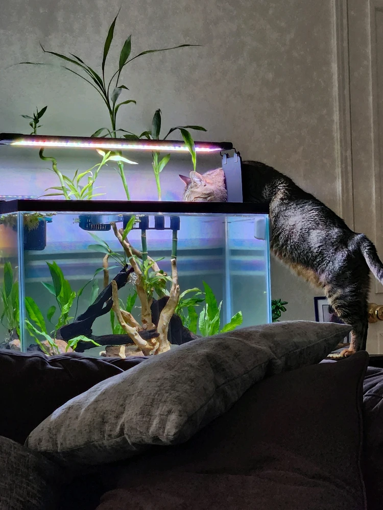 GIF uploaded by Alex