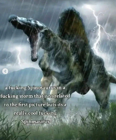 Image uploaded by Patrick