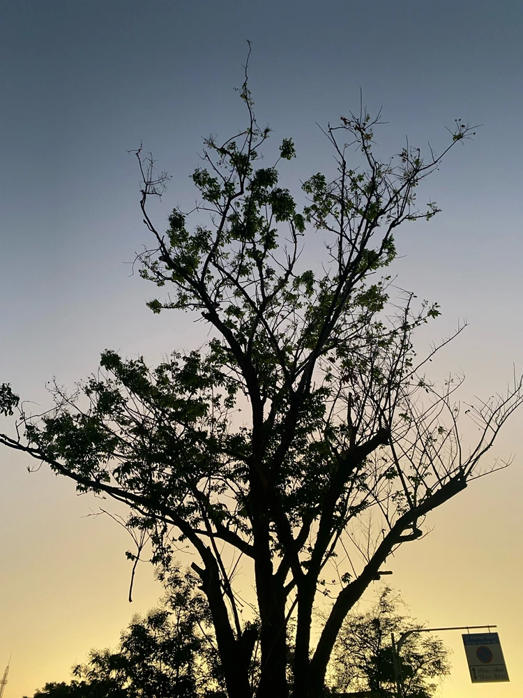 Image uploaded by Kan