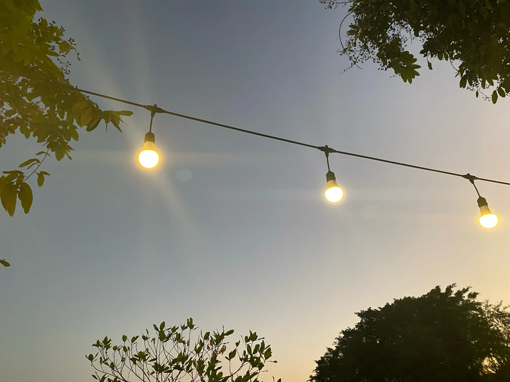 Image uploaded by Kan