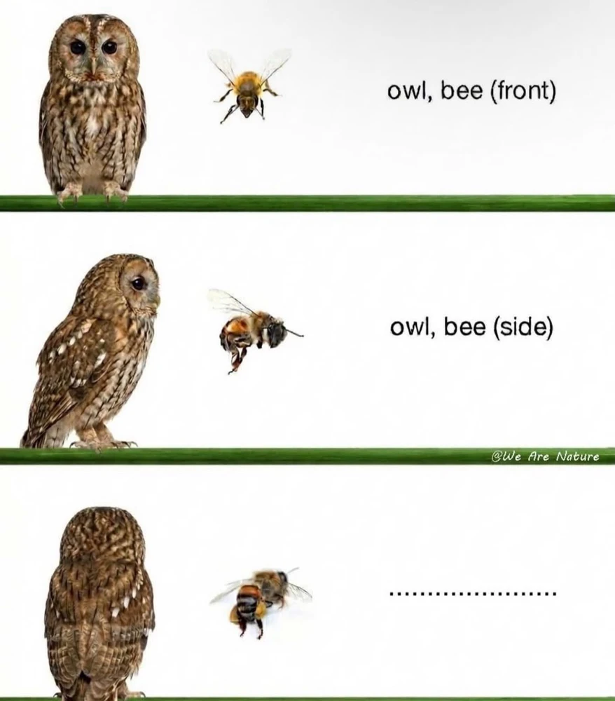 GIF uploaded by Raquel