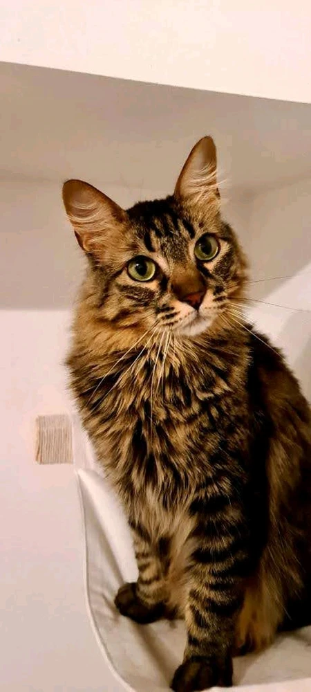 Image uploaded by Daniel