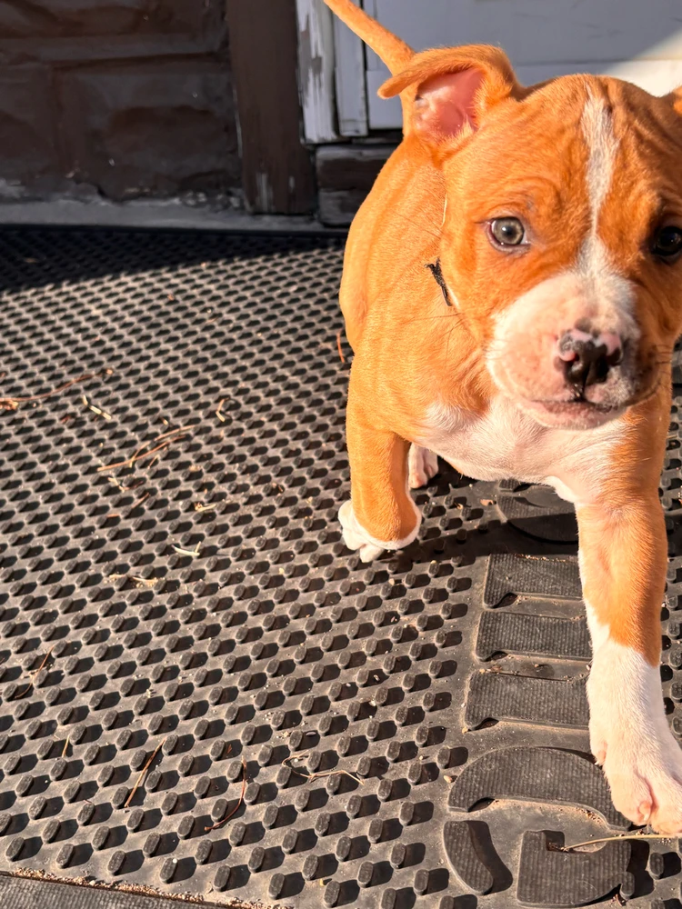 Image uploaded by Kalena