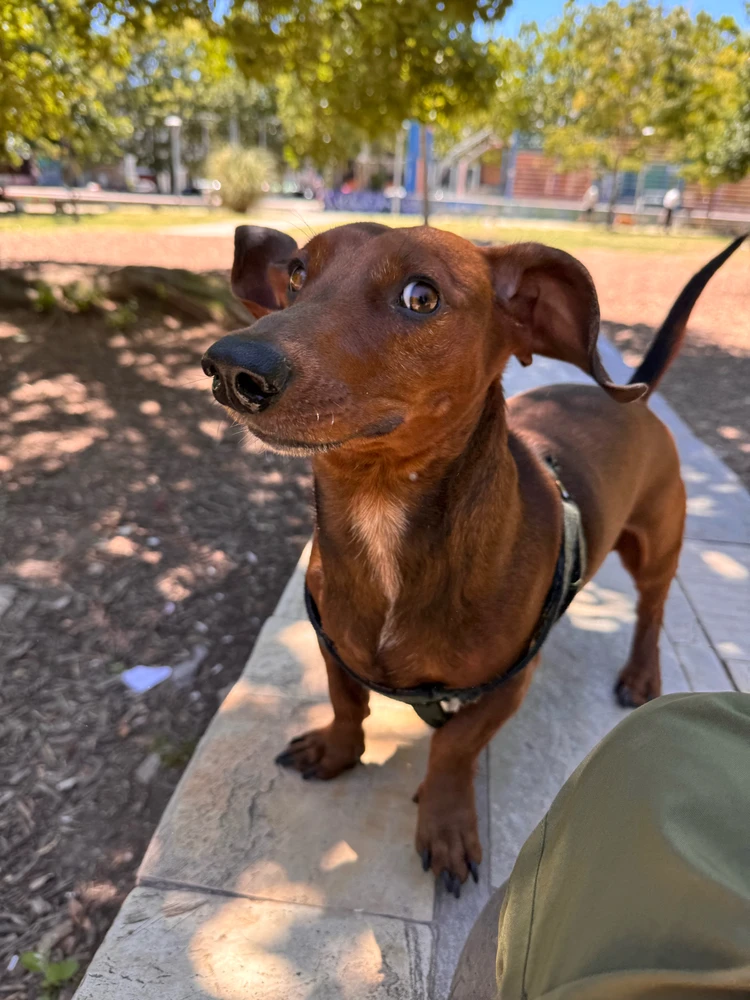 Imagen subida por Florr