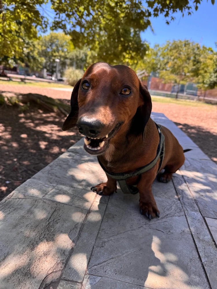 Imagen subida por Florr