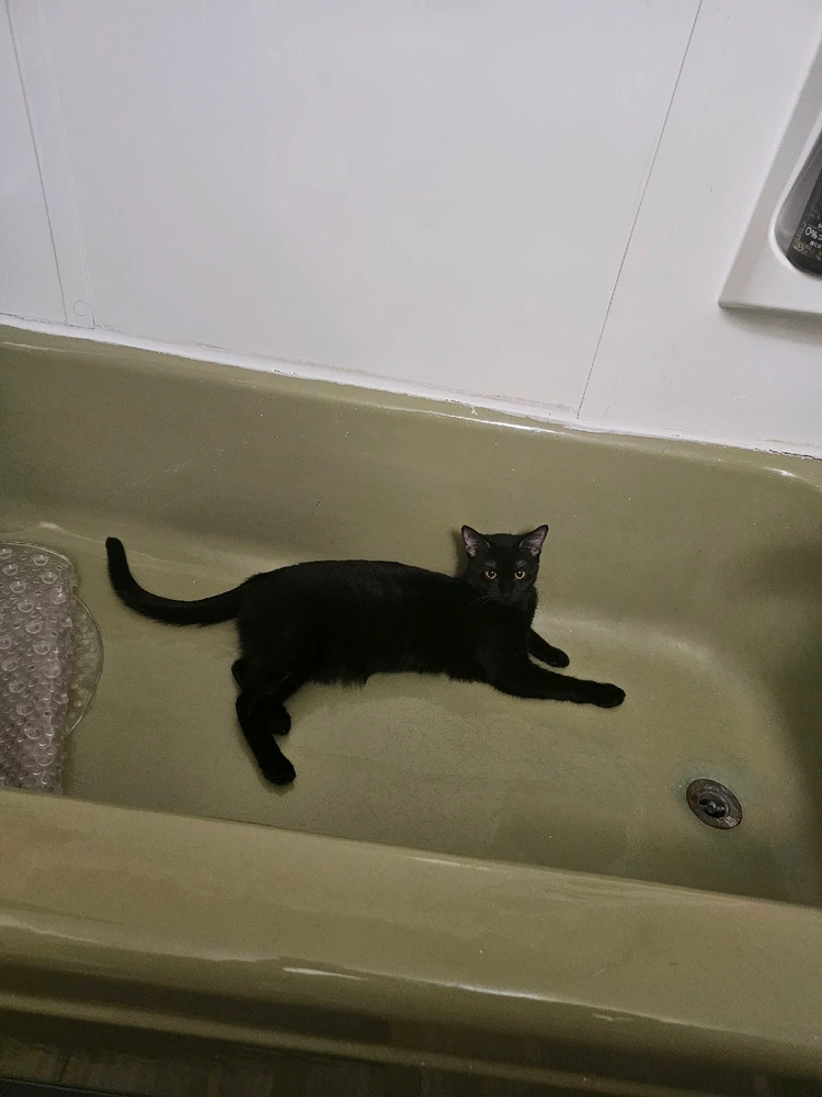 Image uploaded by Krystal