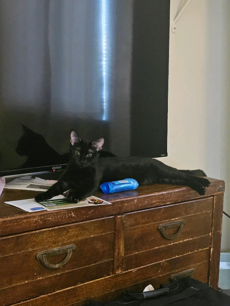 Image uploaded by Krystal