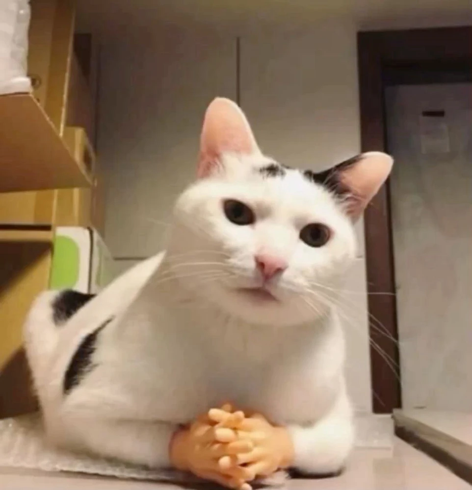 GIF hochgeladen von 🌹✨