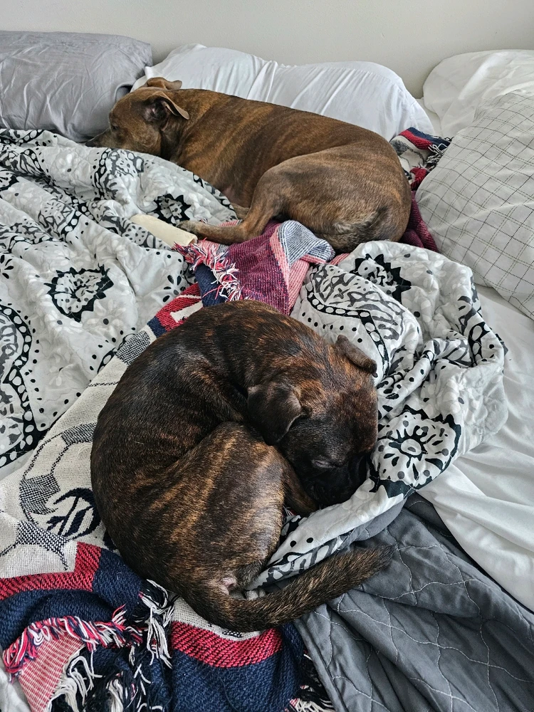 GIF uploaded by Gabby