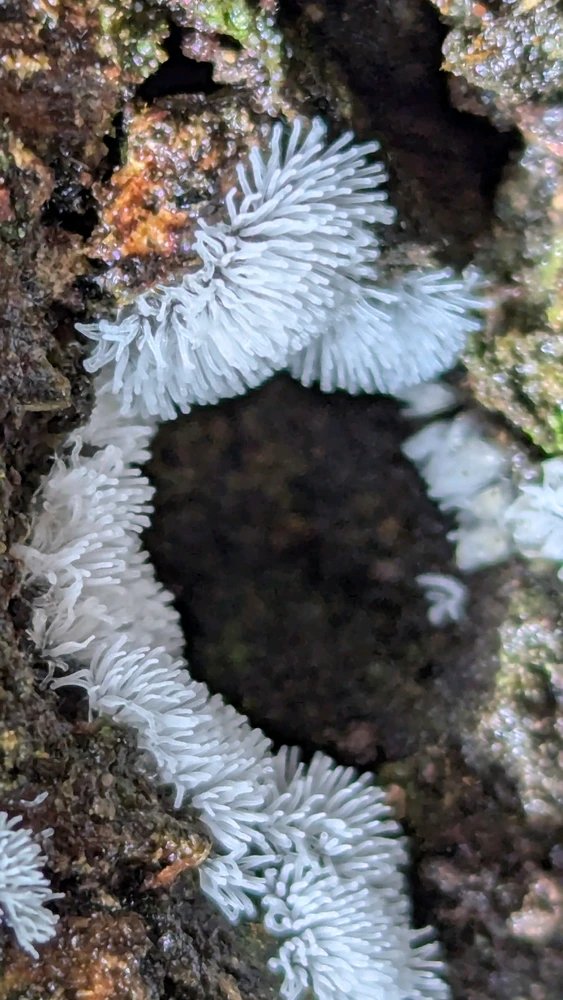 GIF uploaded by Chris