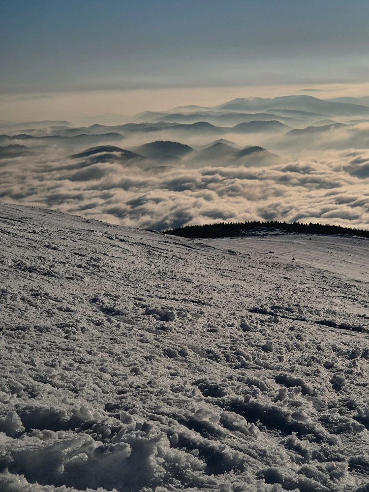 Fotku nahral/-a Jana