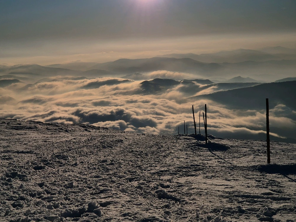 Fotku nahral/-a Jana