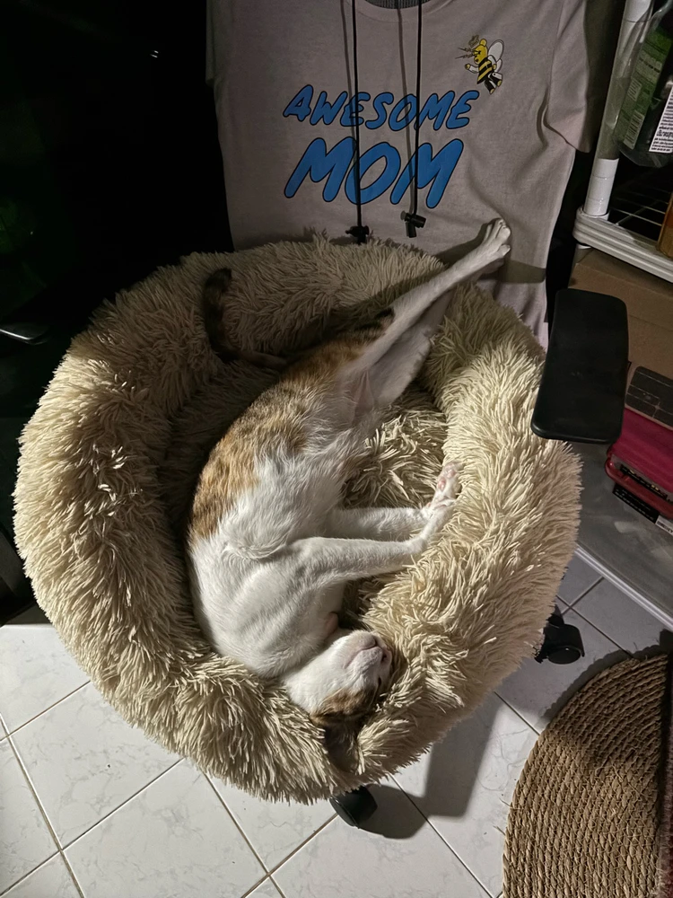 GIF uploaded by Pat♡