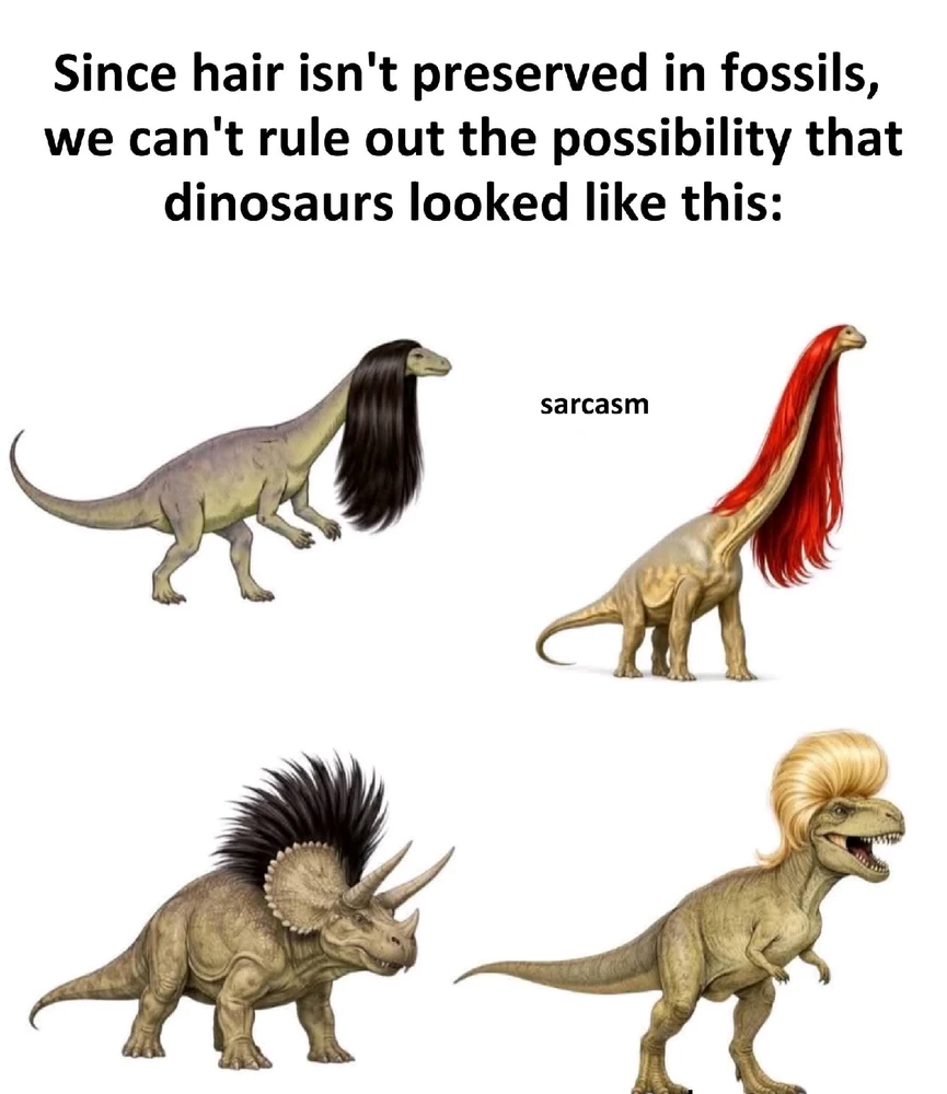 GIF uploaded by Chrif