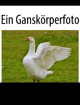 GIF hochgeladen von Mario