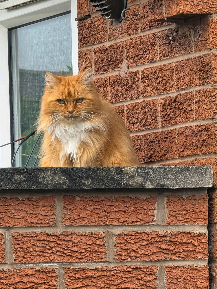 GIF uploaded by Jonathan