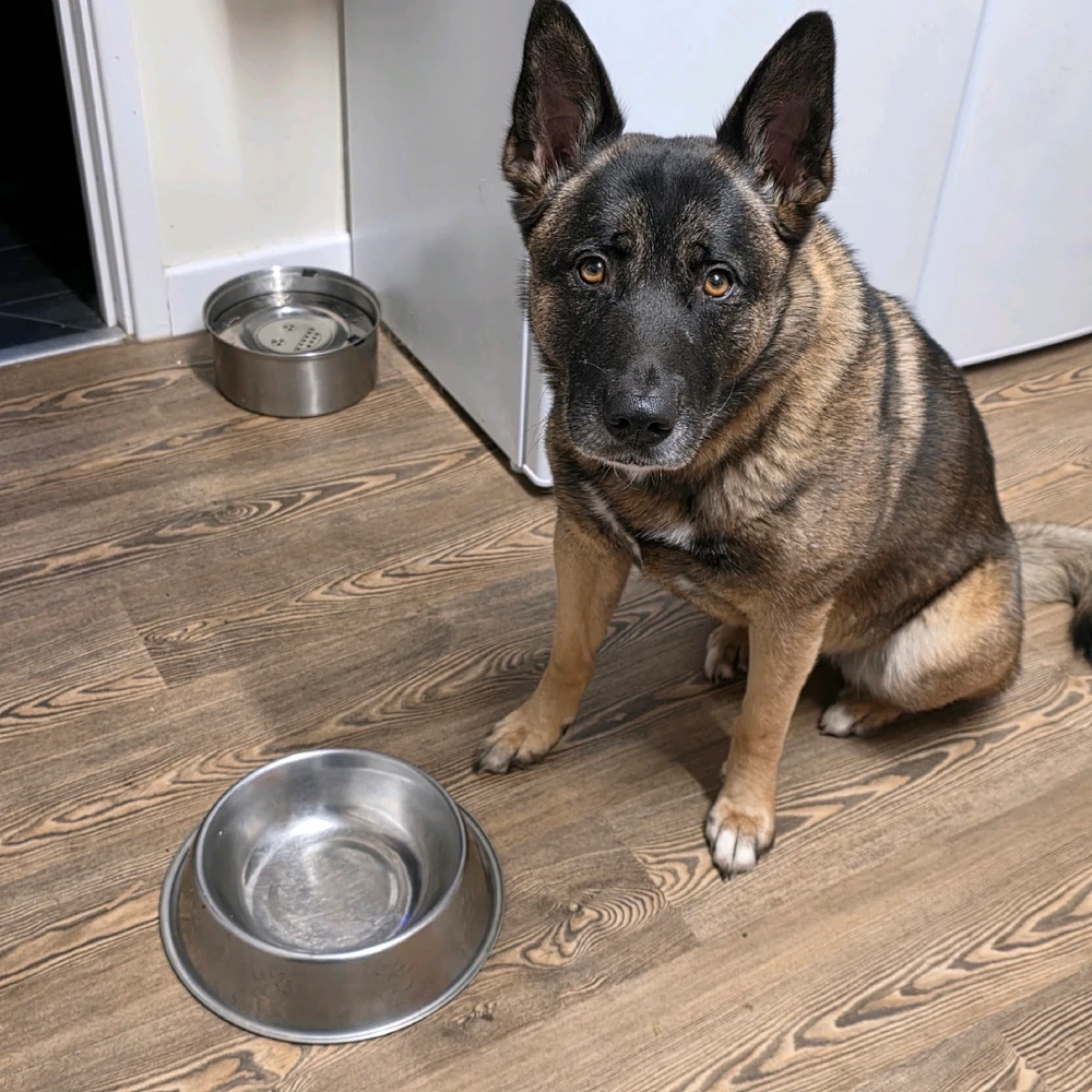 GIF uploaded by Jonathan