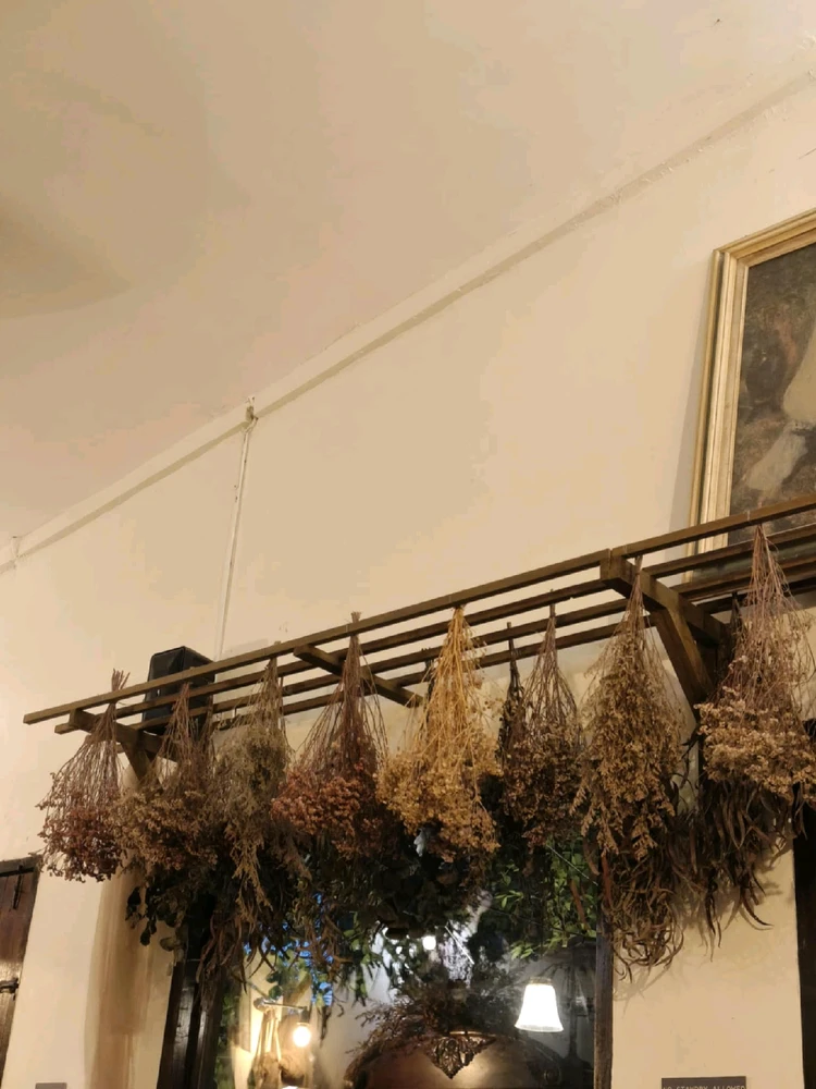 Image uploaded by Rosie