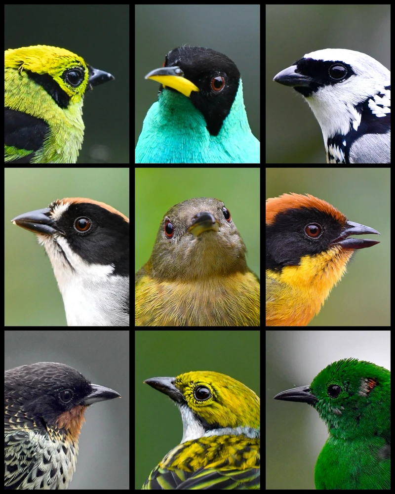 GIF subido por Odrareg