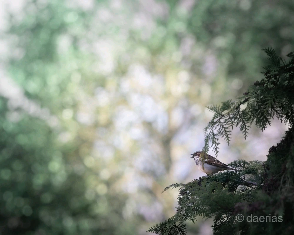 Bild hochgeladen von Darius