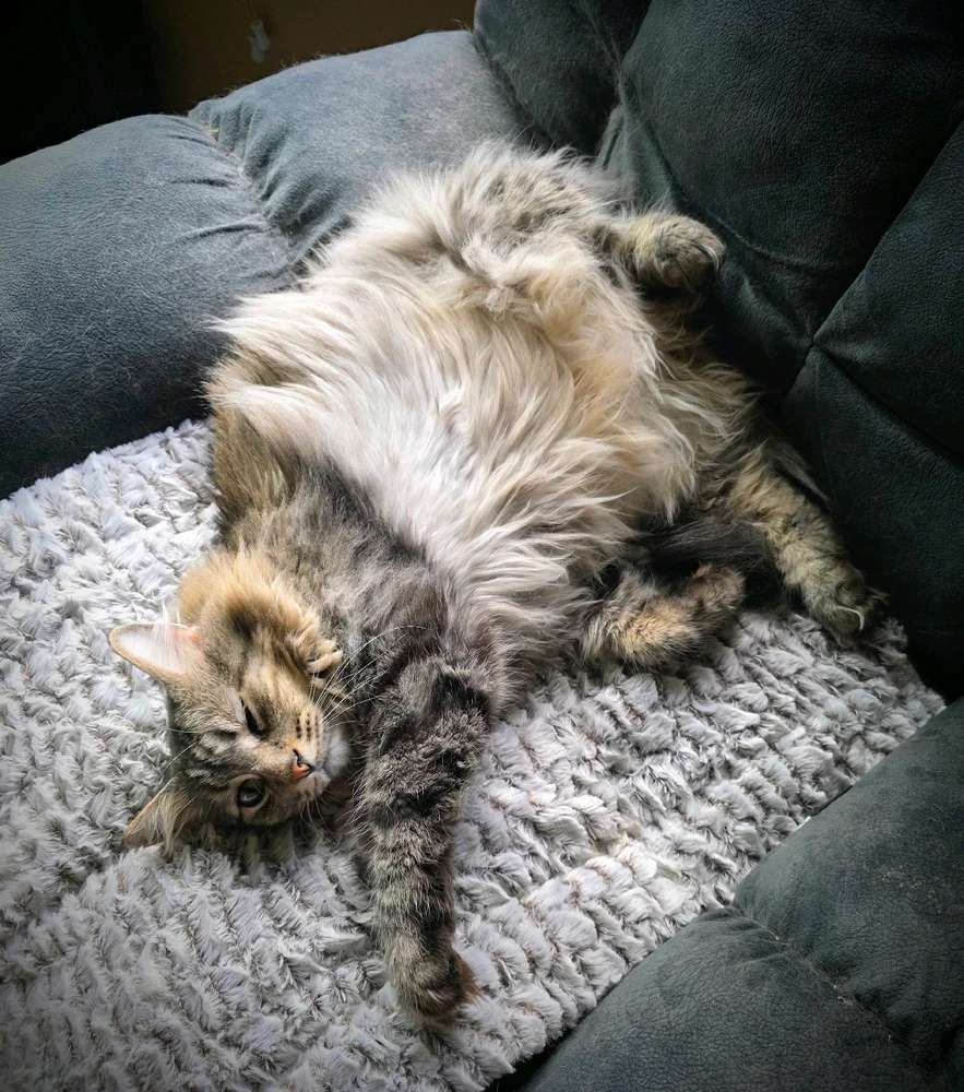 GIF uploaded by Mike