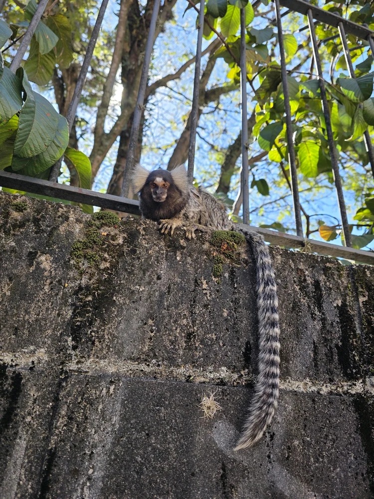 GIF uploaded by Stefani