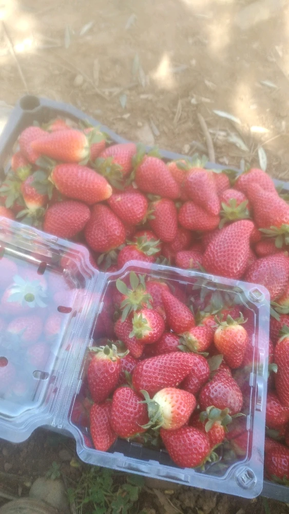 Image uploaded by Sam 93