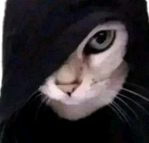 GIF uploaded by Isaiah