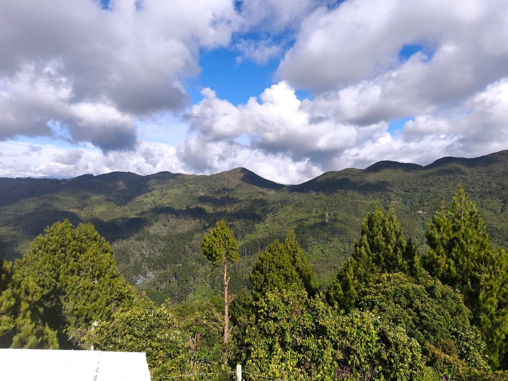 GIF uploaded by Duvan