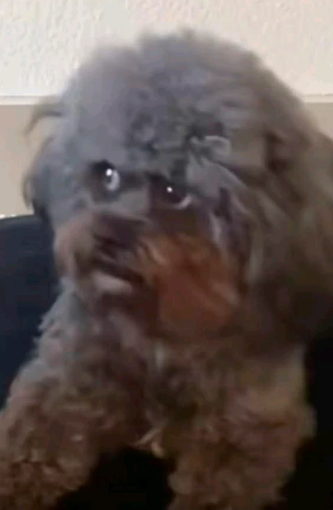 GIF uploaded by Rogelio Ocano