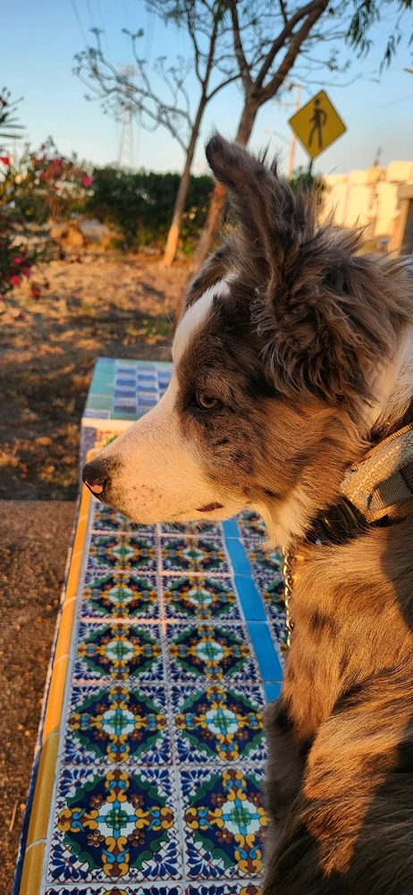 GIF uploaded by ᘻᗩᖇᑢᘿᒪᗩ