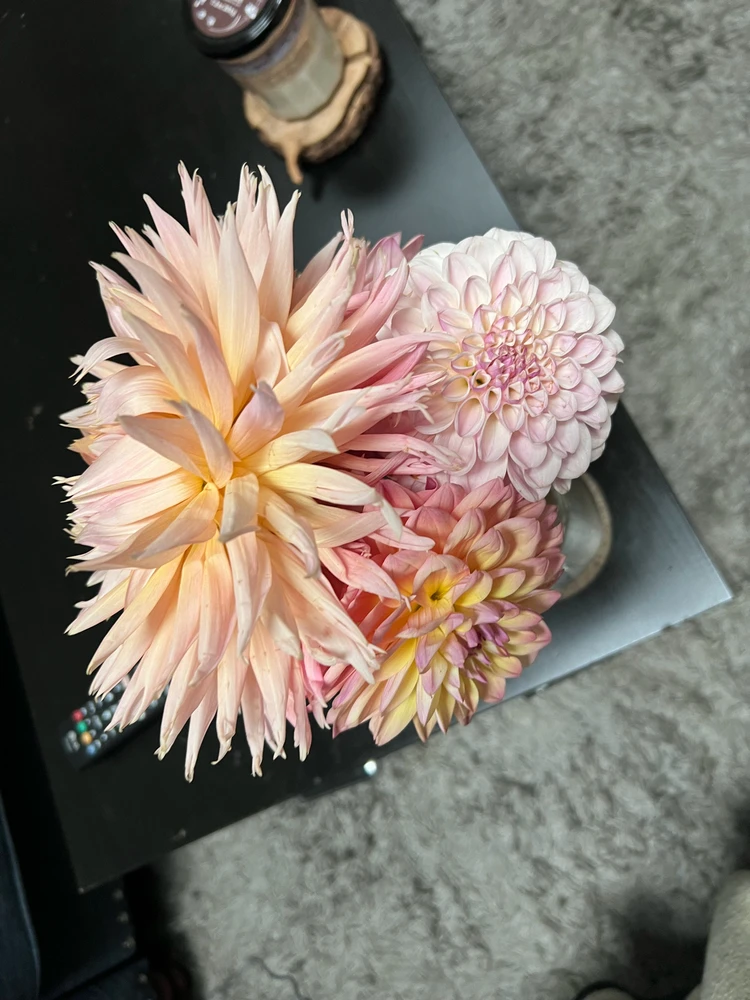 Image uploaded by Kristian