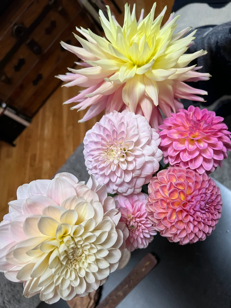 Image uploaded by Kristian