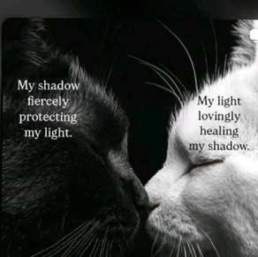 GIF uploaded by Rodney