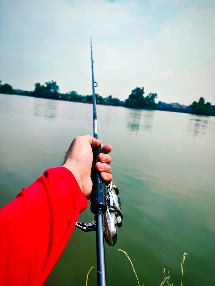 Image uploaded by Fall