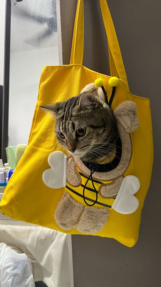 GIF uploaded by Anis