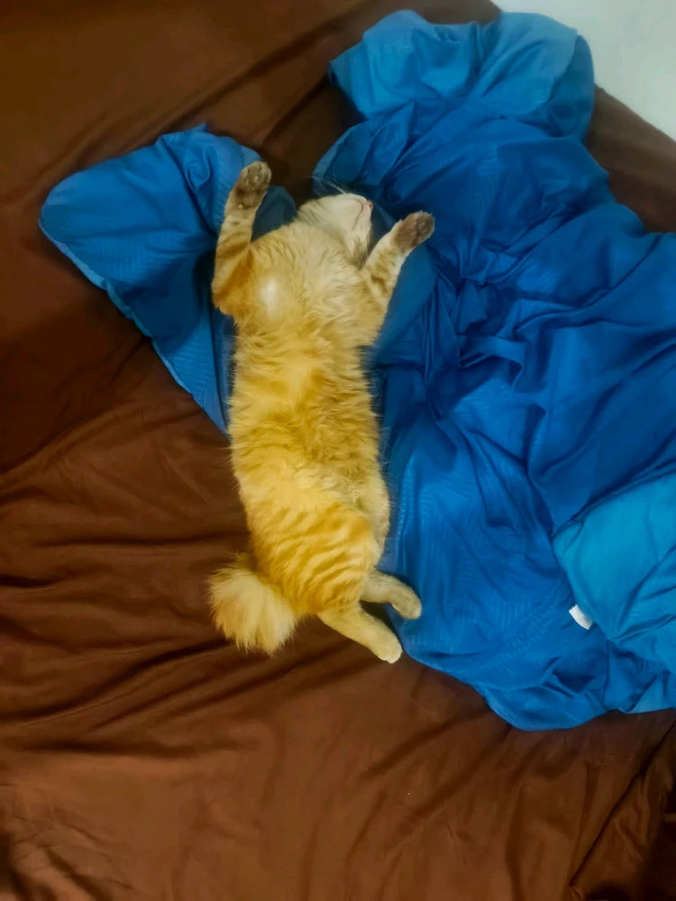 GIF uploaded by Arif