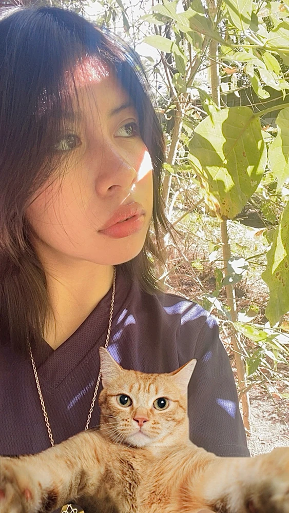 Imagen subida por Kiwii